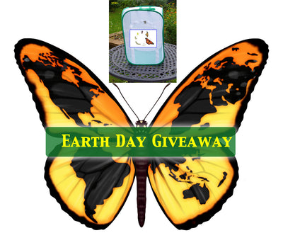 Earth Day Giveaway TALL Baby Bundle- Enter through April 19 🌎