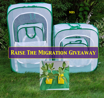 Raise The Migration 2019 Giveaway- Enter thru August 9th 🐛🌿🦋