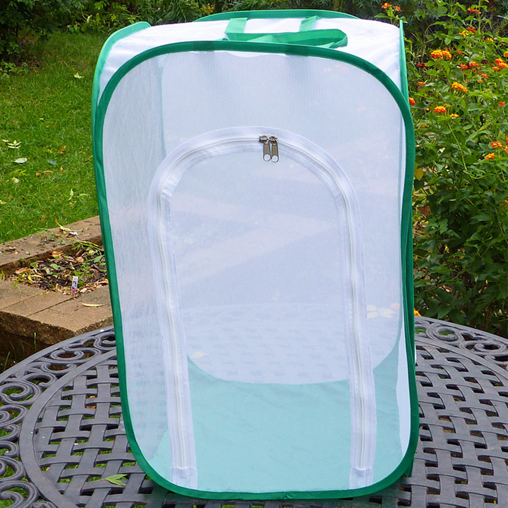 Butterfly Insect Growing Garden Cage Kit - Butterfly Habitat Net Container  - Collapsible Terrarium Enclosure Mesh Net