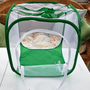 baby cube clear view butterfly cage with see-through mesh and drawbridge door 
