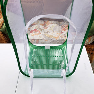 tall baby clear view caterpillar cage- add poo poo platter insert for easy cleaning