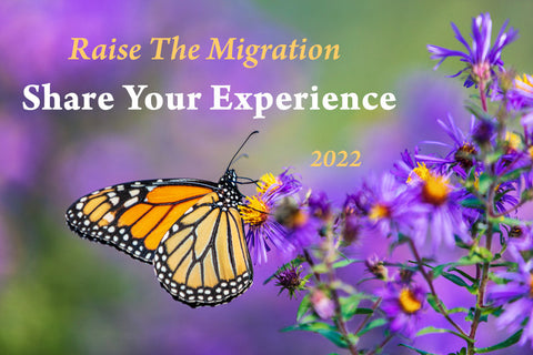Raise the Migration 2022- Share Your Experience Raising Monarchs through the Butterfly Life Cycle
