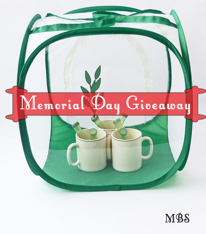 Baby Cube Butterfly Cage Memorial Day Giveaway