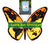 Earth Day Giveaway Monarch Butterfly Shop