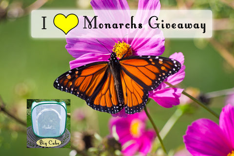 I ❤️ Monarchs Bundle Giveaway- Enter thru February 14 💝