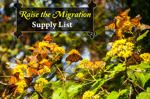Raise The Migration 2023 Supply List for Raising Monarchs through all 4 stages of the Butterfly Life Cycle