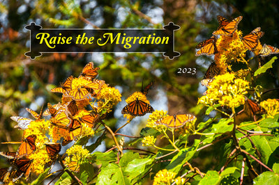 Raise The Migration 2023- Raise Monarch Migration Butterflies for Release