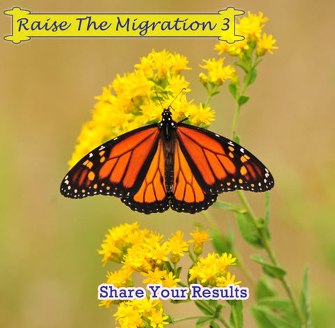 Raise The Migration 3- Post your results, see community results, and share the biggest lesson you learned that will help you and others raising future monarchs through the monarch butterfly life cycle