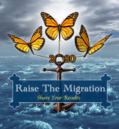 Raising Hope for the 2020 Migration- Raise the Migration Results