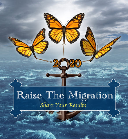 Raise the Migration 2020- Share Your Raising Butterflies Experience