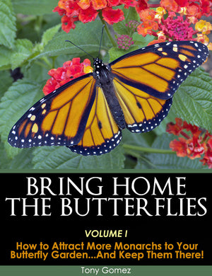 Butterfly Garden Book Collection