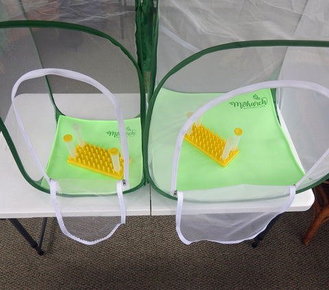 Soft Poo Poo Platters Caterpillar Cage Liners- TWO Sizes