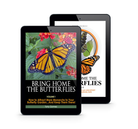 Monarch Butterfly Book bundle- Butterfly Gardening + How to Raise Monarchs Digital Downloads PDF