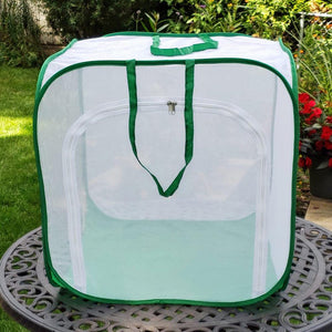 Big Cube Butterfly Cage- Raise Monarchs from Monarch Eggs or Caterpillars to Magnificent Monarch Butterfly safely in a large mesh butterfly cage