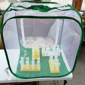 big cube clear view cage with large floral tubes and floral tube racks- raise monarchs through the butterfly life cycle