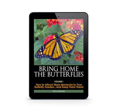 Create a Butterfly Garden for Monarch Butterflies Book- Instant Download