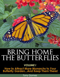 Butterfly Garden Book- Download How to Attract Monarch Butterflies