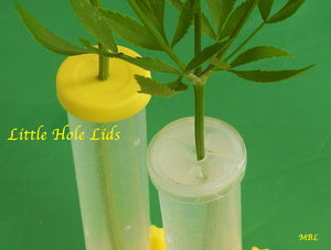 Prevent baby caterpillar drownings with little hole lids for large floral tubes