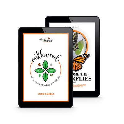Raising Book Bundle: Milkweed Prep Guide + How To Raise Monarchs PDF Guides