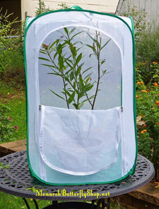 Monarch Tower Butterfly Cage w/ Drawbridge Door for Potted Milkweed Plants