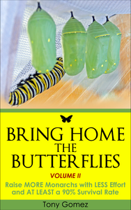How To Raise Monarch Butterflies Book- Instant Download