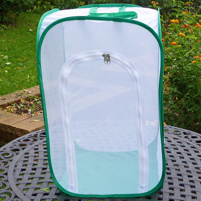 TALL Baby Butterfly Cage w/ Viewing Window to Raise Monarchs...and More! 15"x15"x24"H