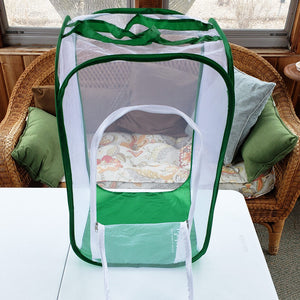 tall baby clear view cage with drawbridge door for easy access- raise monarchs and other butterflies