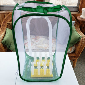tall baby clear view caterpillar cage with poo poo platter, fat cat large floral tubes, and racks for stability. Raise Monarchs through the butterfly life cycle